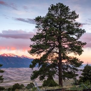 Meet your Posher, THE PONDEROSA